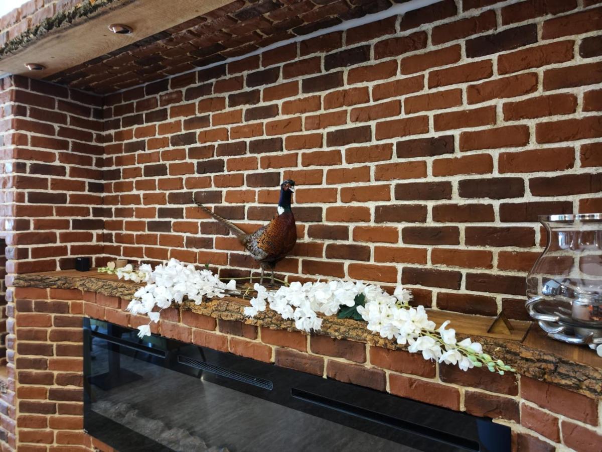 Curtea Domneasca Hotel Vaslui Bagian luar foto